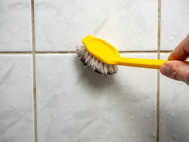 Trusted Tanaina, AK Mold Remediation Experts